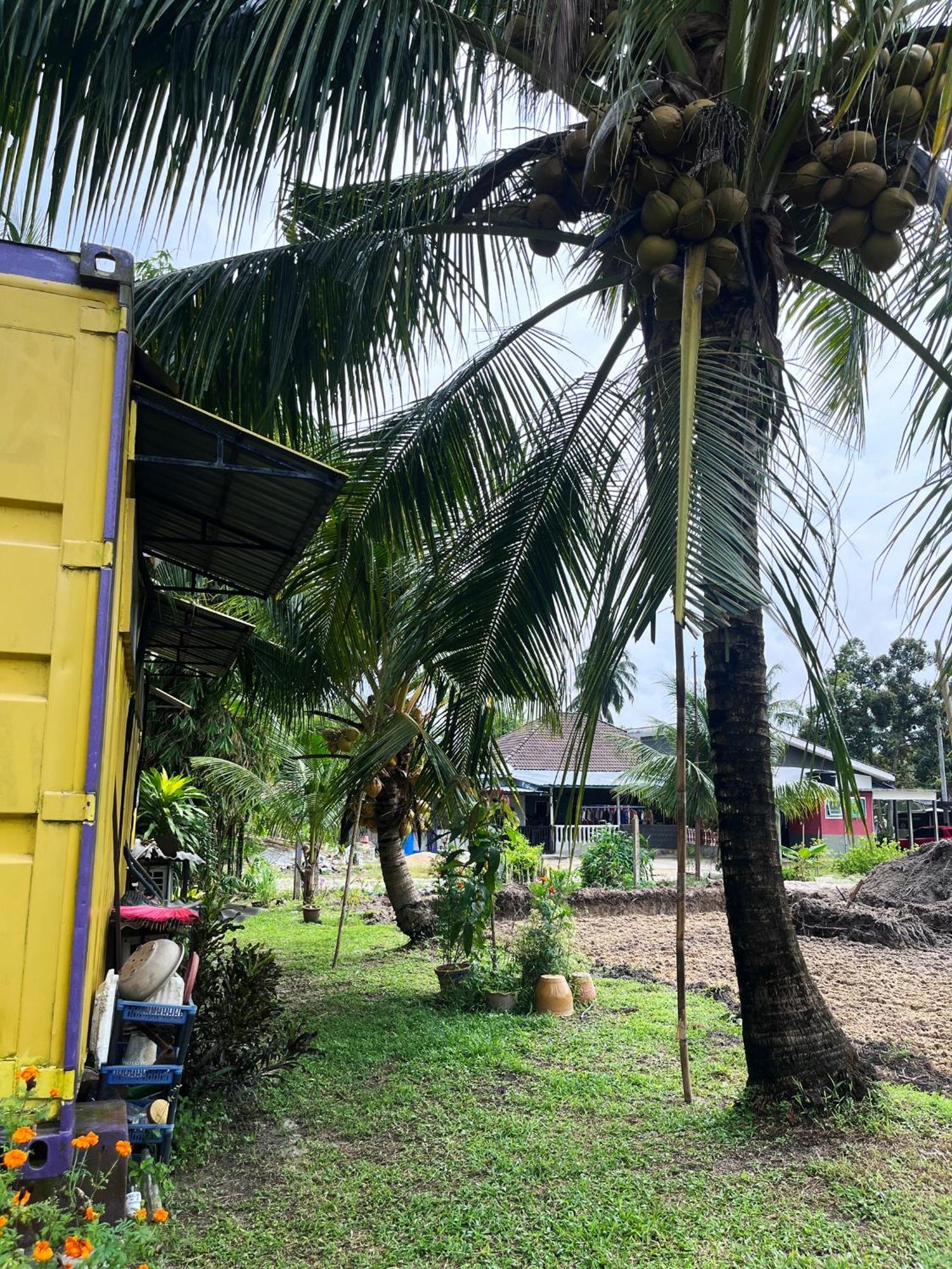 Purple Cube At Lumut Cube Homestay Kontena ภายนอก รูปภาพ